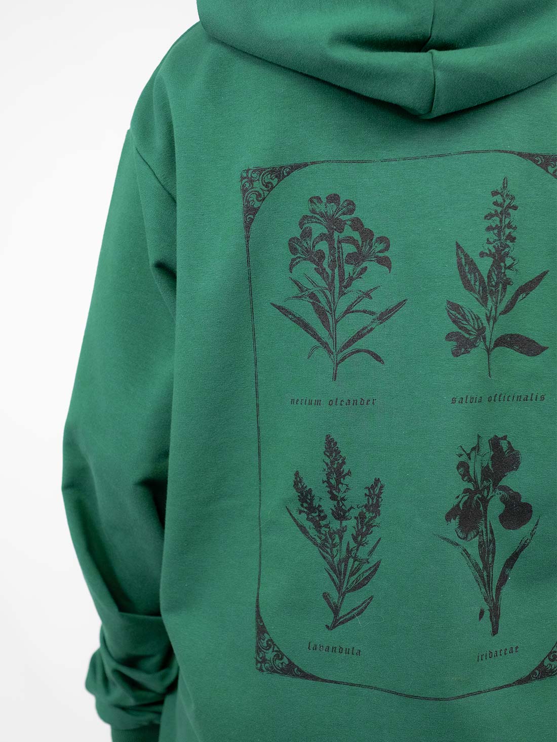 Herbarium Green Hoodie