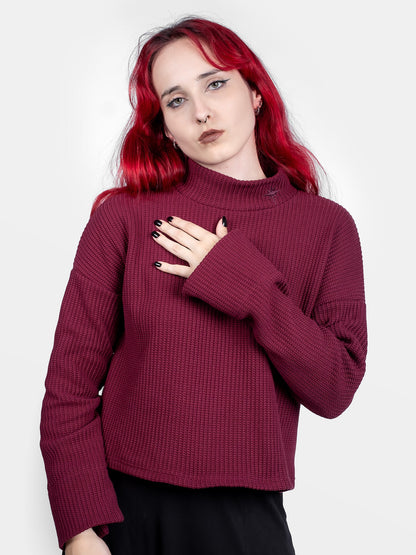 Astrid Burgundy Turtleneck