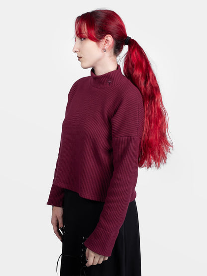 Astrid Burgundy Turtleneck